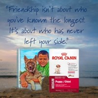 James John's Portfolio